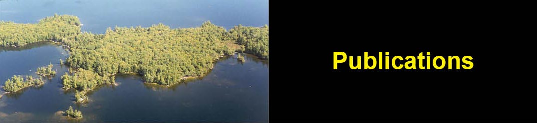 Publications - Aerial photo of island